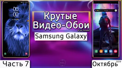 Скачать Крутые обои Волк - HD обои APK для Android