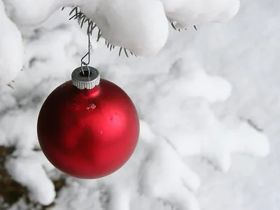 Новогодние обои для телефона | Merry christmas wallpaper, Wallpaper iphone  christmas, Marry christmas wallpaper