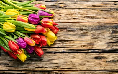 Скачать обои весна, beautiful, fresh, colorful, wood, тюльпаны, tulips,  bright, букет, spring, flowers, цветы, раздел цветы в раз… | Тюльпаны,  Цветочные фоны, Цветы