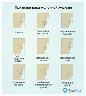 Выявление полезных или вызывающих акне микробов на коже человека | Новости