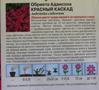 Многолетние цветы Обриета культурная Кэскэйд Ред (Aubrieta Cascade Red) р9  купить по цене 160 руб. | Доставка Смоленск, Москва, СпБ