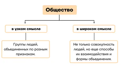 Лучшие рецензии всех времён: Роджер Эберт ругает «Общество мёртвых поэтов»  | КиноТВ