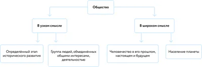 Общество с ограниченной ответственностью (ООО): что это, расшифровка, как  открыть или закрыть | Банки.ру