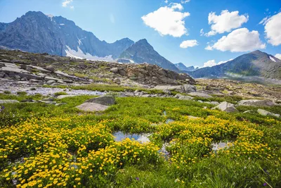 Случайные фото самые красивые... | Пикабу