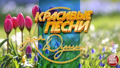 Мир красивых открыток | Good morning