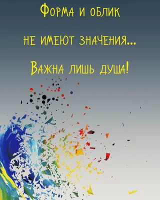 Какие неприхотливые и очень красивые кустарники посадить на даче? Для  успокоения и расслабления души, а может быть и в качестве живой изгороди —  Новости Санкт-Петербурга