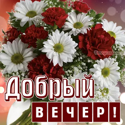 Идеи на тему «Добрый вечер» (710) | открытки, ночь, спокойной ночи