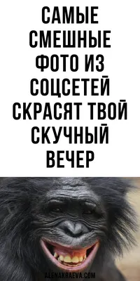 Открытка «Твои шутки самые смешные» ШКЯ — шутки, кайф, яшперица купить в  Санкт-Петербурге с доставкой сегодня на Dari Dari