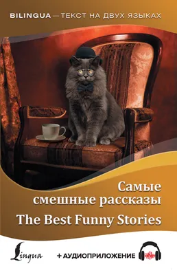 Самые смешные фото дикой природы от The Comedy Wildlife Photography Awards  - TOPNews.RU