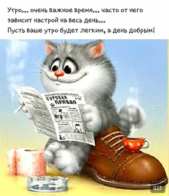 Доброе ☕😸🍬 Утро всем! | Счастливые картинки, Смешные открытки, Милые  открытки