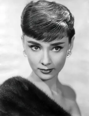 Фотографии: Одри Хепберн [Audrey Hepburn]