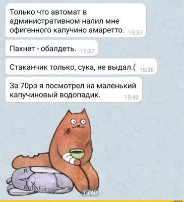 Не жизнь, а сплошное получение полезного опыта. / котэ (прикольные картинки  с кошками) / смешные картинки и другие приколы: комиксы, гиф анимация,  видео, лучший интеллектуальный юмор.