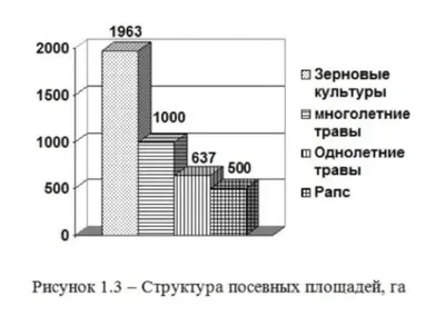 Господин Оформитель — Анна Попова на TenChat.ru