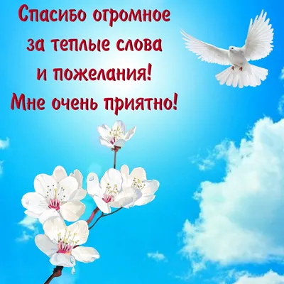 Хочу сказать ОГРОМНОЕ спасибо за супер кресло! - Ротанг