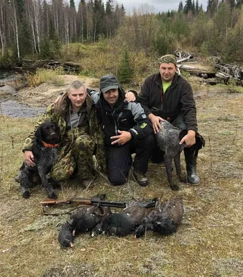 В Курской области запретили все виды охоты | ГТРК «Курск» - Новости Курска  и Курской области | 6035