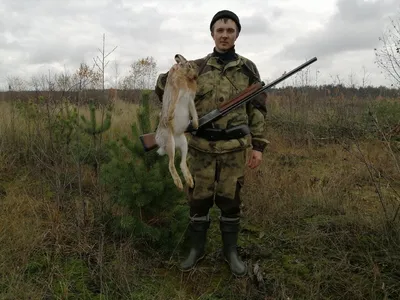 В КР запретили охоту на барана Марко Поло и ряд других животных -  26.01.2023, Sputnik Кыргызстан