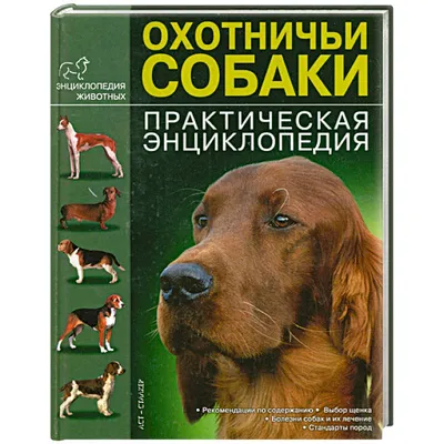 О породах собак. Скандинавские охотничьи лайки. | Пикабу