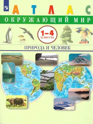 Окружающий мир 3 класс Перспектива Рабочая тетрадь 2 часть Плешаков АА 0+ -  купить в Набережных Челнах по цене договорной руб | Канцтовары Карандашов