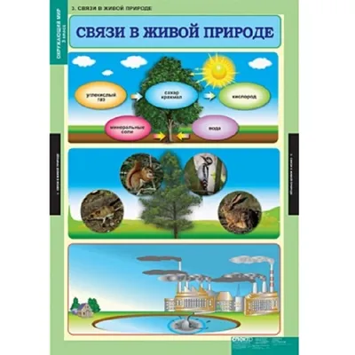 Иллюстрация 1 из 10 для Окружающий мир. 4 класс. Готовимся к Всероссийским  итоговым проверочным работам. ФГОС - Наталья Лободина | Лабиринт - книги.  Источник: Лабиринт