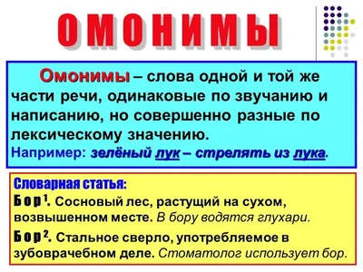 Развивающий набор \"Омонимы\", арт. 9842327 - купить в интернет-магазине  Игросити