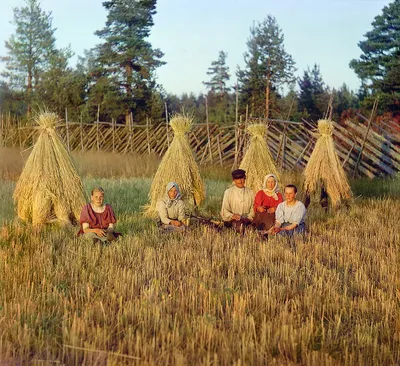 Маджлис 134. Праведная Асма, дочь Абу Бакра: женщина, стоящая сотен мужчин