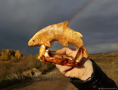 Рыба омуль🐟: фото и описание. Как выглядит омуль👍, чем питается и где  водится