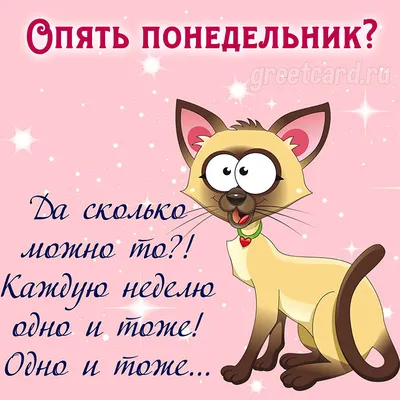 Марина Алекминская в Instagram: «Дни летят беспощадно... Опять понедельник!  Пусть он будет легким, бодрым, плодотворными и успешным. … | Plants, Bawen,  Good morning