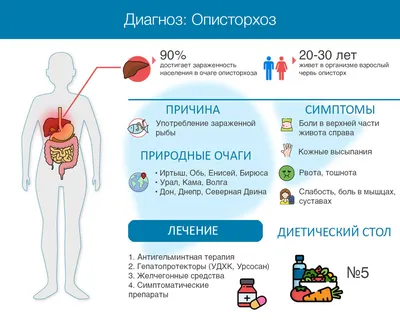 Детский сад \"Мальвина\" - Осторожно описторхоз!