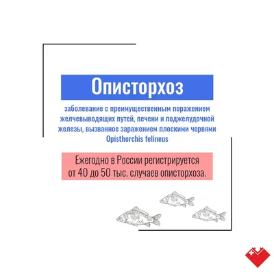 Как я вылечила описторхоз без лекарств | Здоровье через питание и лечение  РПП | Дзен