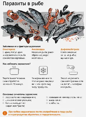 Информация Федеральной службы по надзору в сфере защиты прав потребителей и  благополучия человека от 18 апреля 2019 г. “О рисках, связанных с  употреблением рыбы и рыбной продукции”