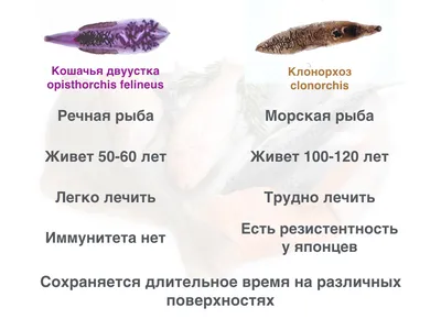 Как вылечить описторхоз в Новосибирске? — Sibmeda