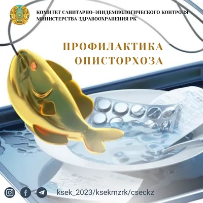 Противогельминтный препарат Байер Бильтрицид - «Бильтрицид - это не  сиюминутная помощь в борьбе с описторхозом, надо запастись терпением. » |  отзывы