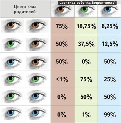 Какой цвет глаз будет у ребенка: как определить, доминирующие цвета глаз  родителей | Акушерство.ру | Дзен