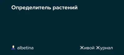 Ботаническая иллюстрация — Википедия