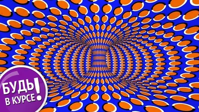 Оптическая иллюзия: Картинка, которую вы видите первой, раскрывает черту  вашего характера | Mixnews