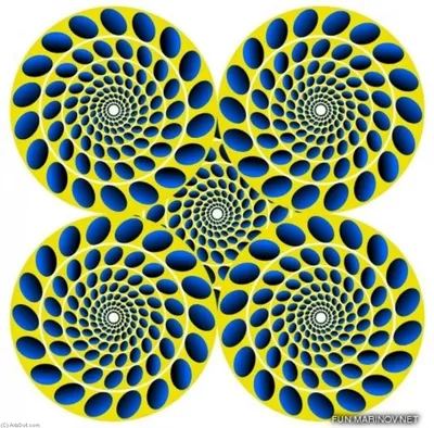 Фантастические оптические иллюзии Издательство КоЛибри 39413732 купить в  интернет-магазине Wildberries