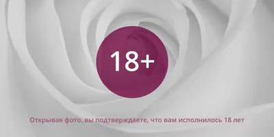 Задняя кольпорафия / пластика задней стенки влагалища от 70000 руб