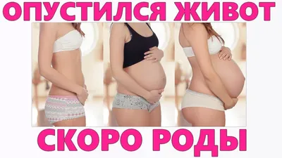 Когда и как понять, что живот опустился перед родами | Wday.ru | Дзен