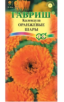 Оранжевые герберы с розами за 11 890 руб. | Бесплатная доставка цветов по  Москве