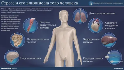 Организм человека\", Окружающий мир 4 класс ч.1, с.6-8, Школа XXI век | \"Организм  человека\", Окружающий мир 4 класс ч.1, с.6-8, Школа XXI век  https://youtu.be/5W-7oxjp29o #учебниквслух #3класс #окружающий_мир  #школаXXIвек | By Учебник вслух |