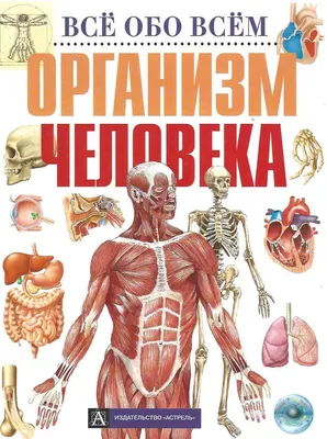 Стресс и его влияние на организм человека - РИА Новости, 15.10.2010