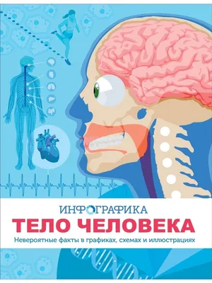 Влияние алкоголя на организм человека - RSS - Управление Федеральной службы  по надзору в сфере защиты прав потребителей и благополучия человека по  городу Санкт-Петербургу