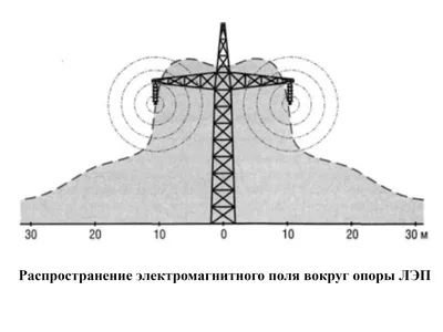 Организм человека фото