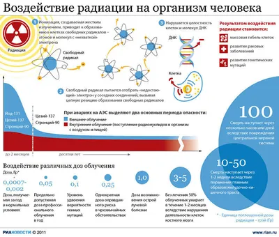 Строение клетки человека, ее свойства и функции в организме человека