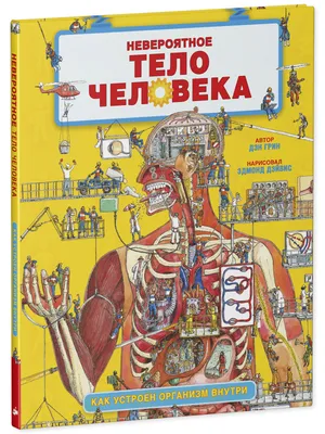 Для чего организму человека нужен фосфор: роль и действие фосфор,  недостаток веществаа