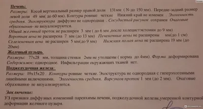 Внутренние органы брюшной полости женщины картинки