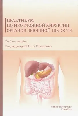 УЗИ органов брюшной полости в Ярославле | Константа LIFE | Записаться по  выгодной цене