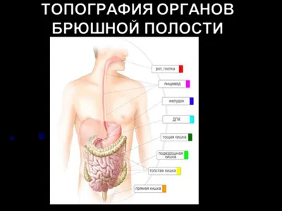 КТ органов брюшной полости и забрюшинного пространства