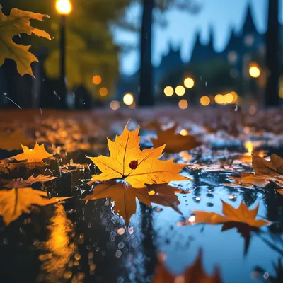 Осенний дождик рисунки - 72 фото