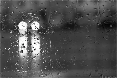 Лист Осень Дождь - Бесплатное фото на Pixabay - Pixabay